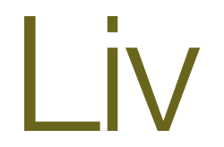 HMA Kunde: Liv Logo